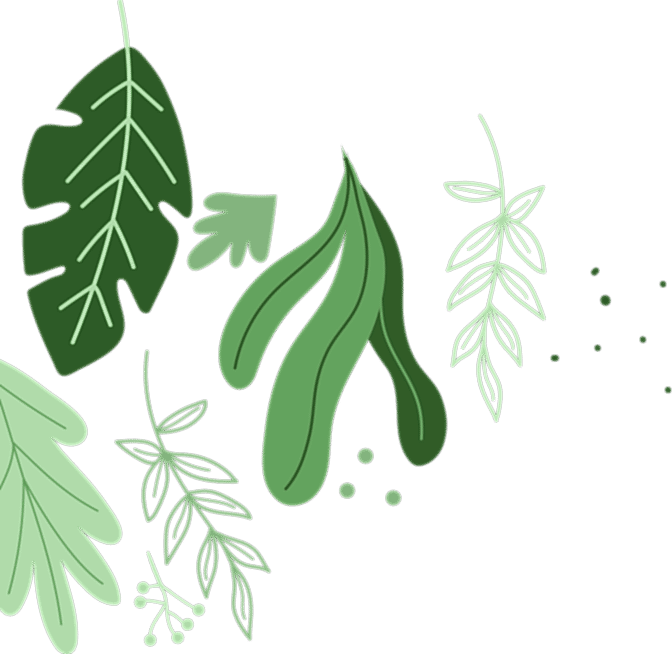 contact-one-shape-4-rtl