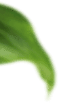 main-slider-three-shape-1