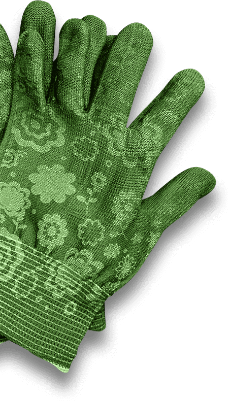 main-slider-three-shape-2