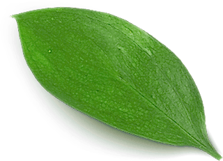 main-slider-three-shape-3