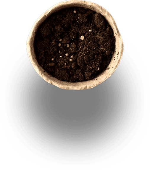 main-slider-three-shape-4