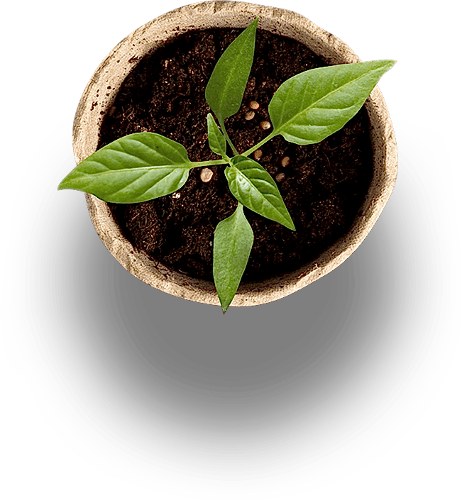 main-slider-three-shape-5