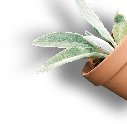 main-slider-three-shape-6